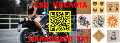 ALPHA PVP Малгобек