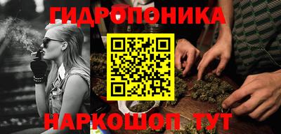 ALPHA PVP Малгобек