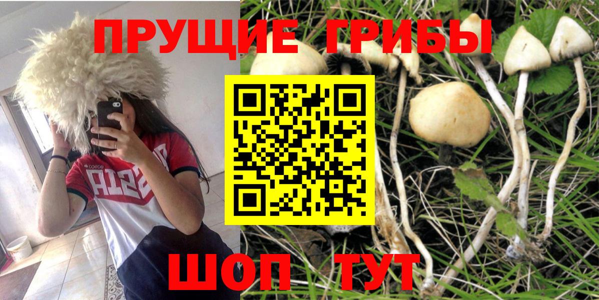 Галлюциногенные грибы MAGIC MUSHROOMS  Иваново  Псилоцибиновые грибы Magic Shrooms 