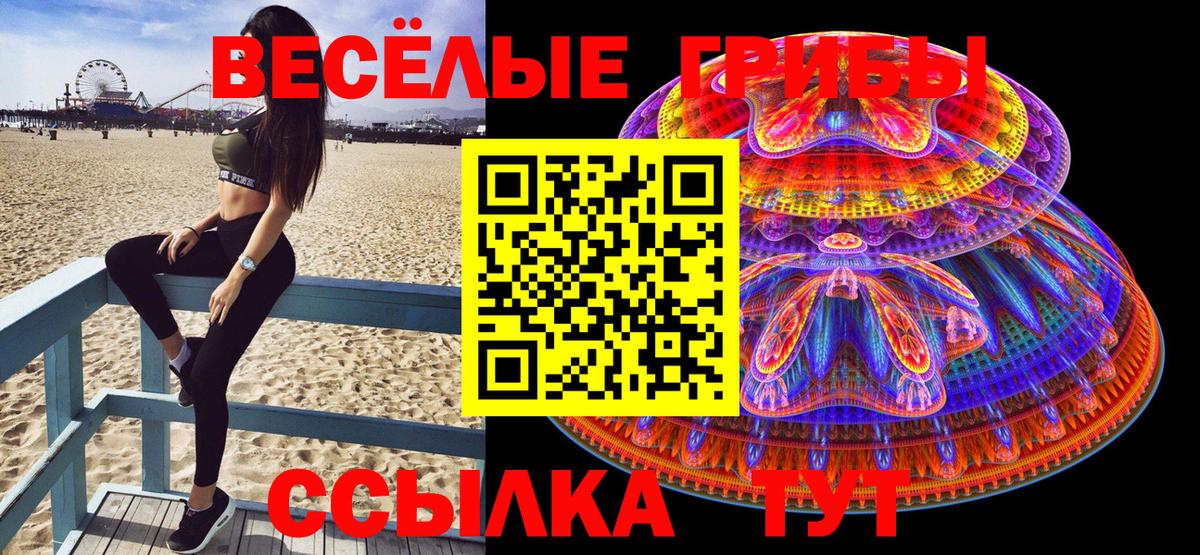 Псилоцибиновые грибы прущие грибы Иваново